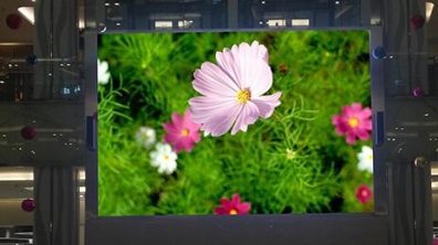 <b>Mini LED來勢洶洶，OLED還扛得住嗎？</b>